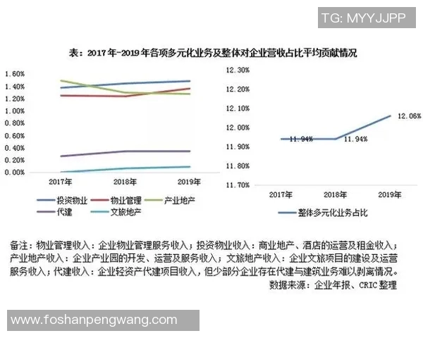足球明星如何通过多元化收入渠道实现财富增长与职业生涯的双赢